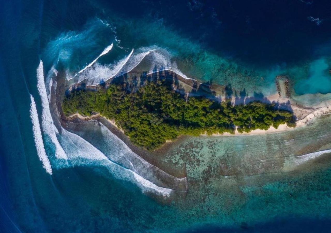 Surf Trip Maldives 3*